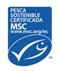 Icono msc